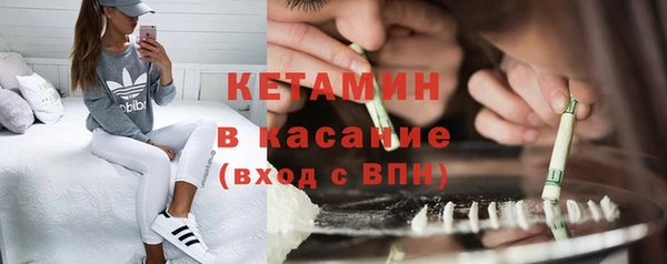 сатива Заводоуковск