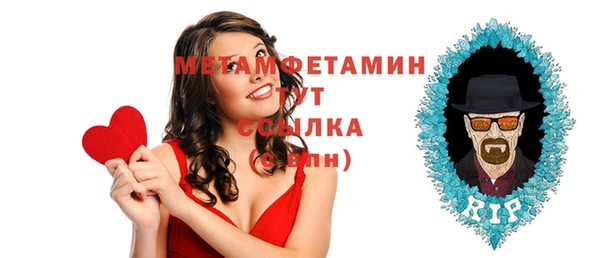 сатива Заводоуковск