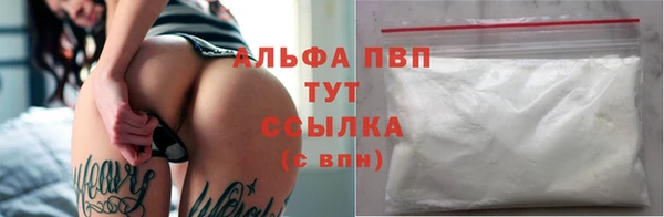 сатива Заводоуковск