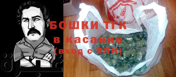 сатива Заводоуковск